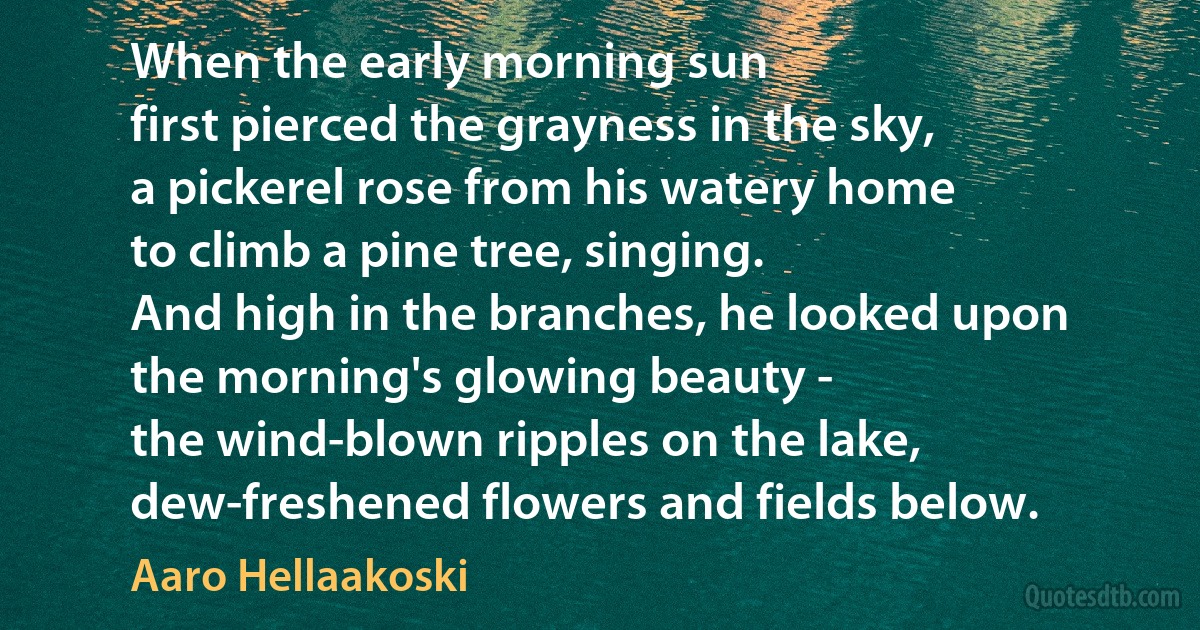 When the early morning sun
first pierced the grayness in the sky,
a pickerel rose from his watery home
to climb a pine tree, singing.
And high in the branches, he looked upon
the morning's glowing beauty -
the wind-blown ripples on the lake,
dew-freshened flowers and fields below. (Aaro Hellaakoski)