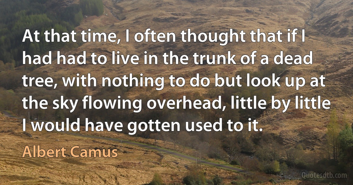 At that time, I often thought that if I had had to live in the trunk of a dead tree, with nothing to do but look up at the sky flowing overhead, little by little I would have gotten used to it. (Albert Camus)