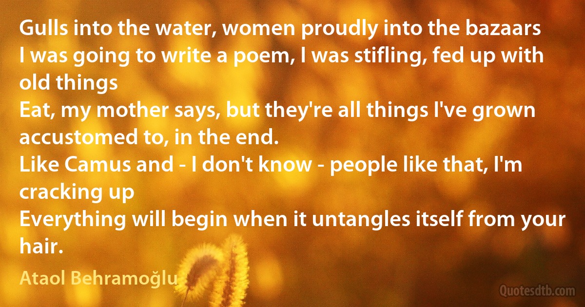 Gulls into the water, women proudly into the bazaars
I was going to write a poem, I was stifling, fed up with old things
Eat, my mother says, but they're all things I've grown accustomed to, in the end.
Like Camus and - I don't know - people like that, I'm cracking up
Everything will begin when it untangles itself from your hair. (Ataol Behramoğlu)