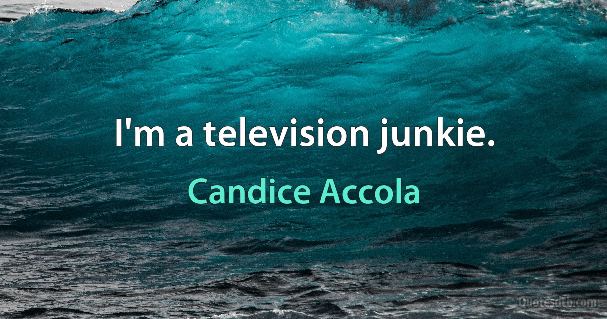 I'm a television junkie. (Candice Accola)