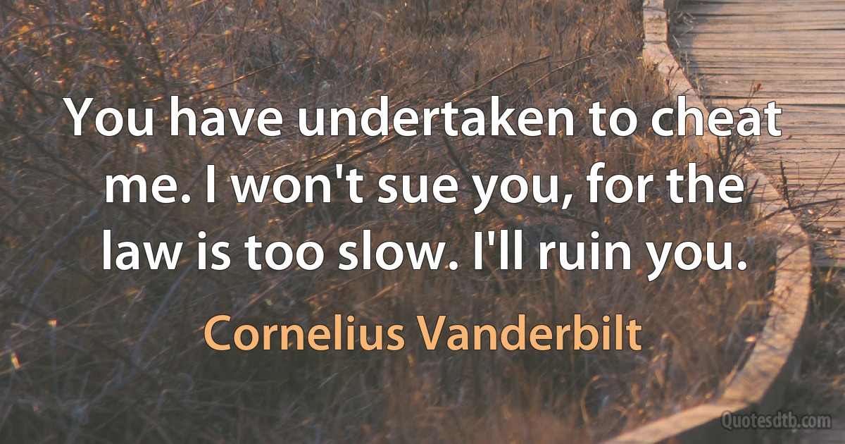 You have undertaken to cheat me. I won't sue you, for the law is too slow. I'll ruin you. (Cornelius Vanderbilt)