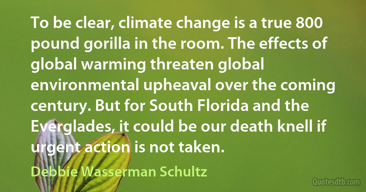 To be clear, climate change is a true 800 pound gorilla in the room. The effects of global warming threaten global environmental upheaval over the coming century. But for South Florida and the Everglades, it could be our death knell if urgent action is not taken. (Debbie Wasserman Schultz)