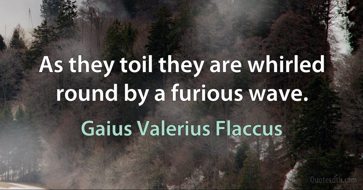 As they toil they are whirled round by a furious wave. (Gaius Valerius Flaccus)