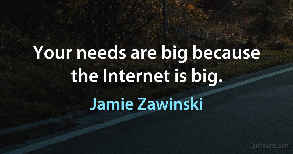 Your needs are big because the Internet is big. (Jamie Zawinski)