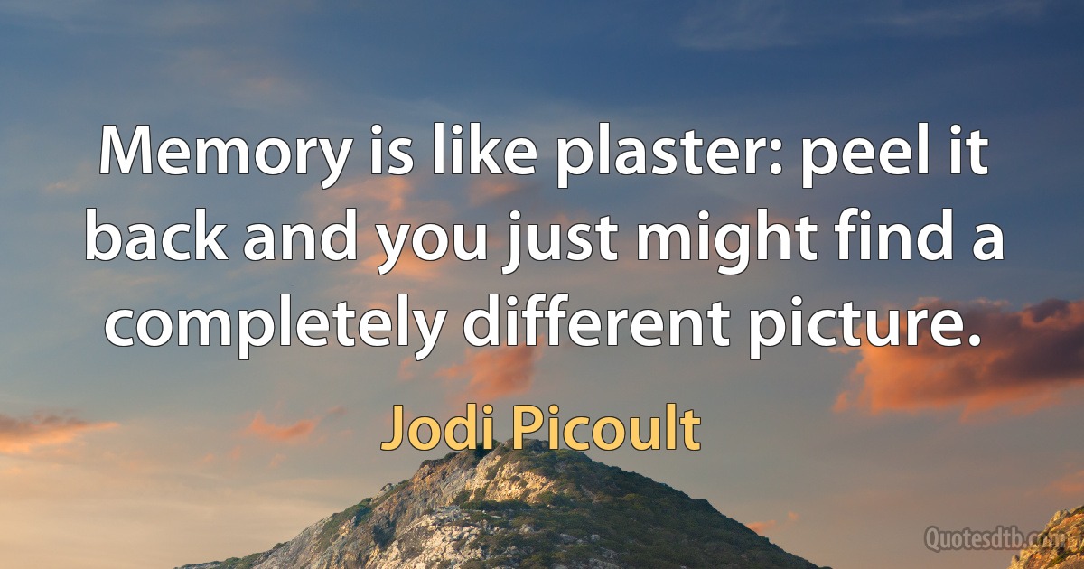 Memory is like plaster: peel it back and you just might find a completely different picture. (Jodi Picoult)