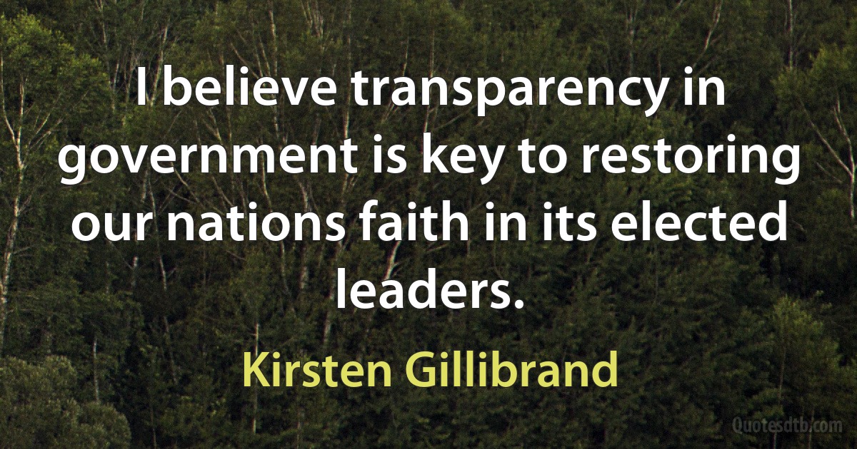 I believe transparency in government is key to restoring our nations faith in its elected leaders. (Kirsten Gillibrand)