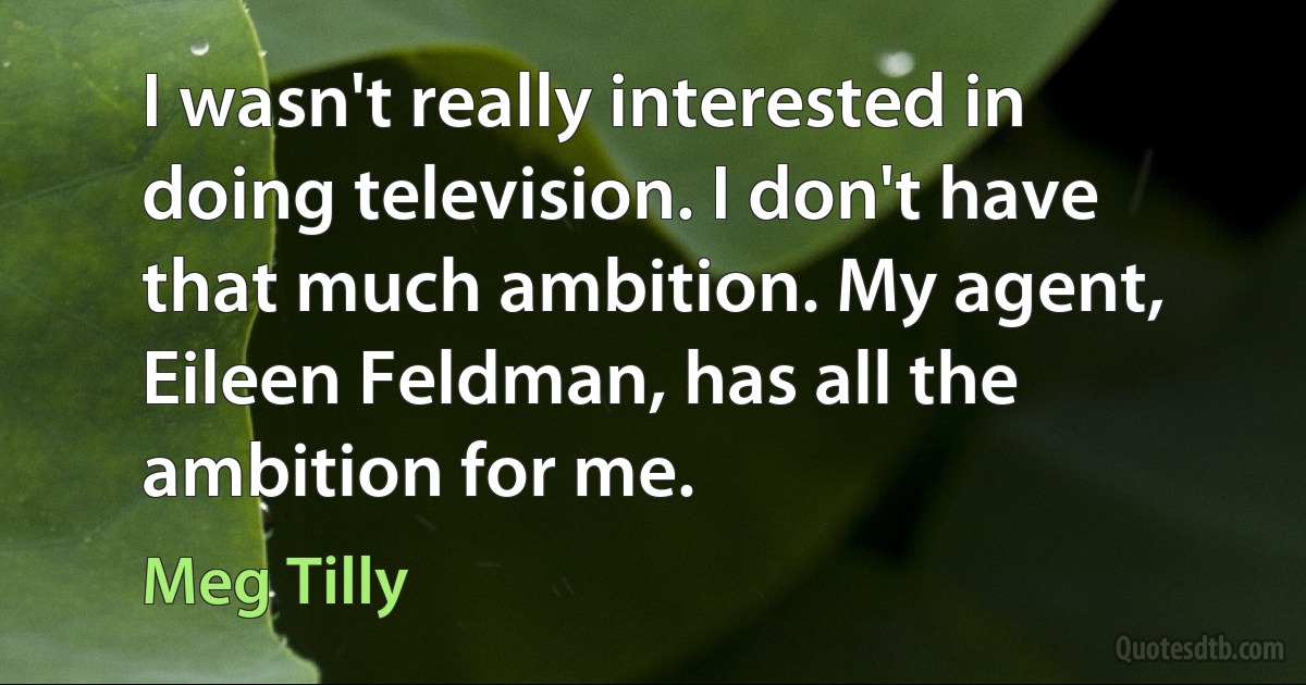 I wasn't really interested in doing television. I don't have that much ambition. My agent, Eileen Feldman, has all the ambition for me. (Meg Tilly)