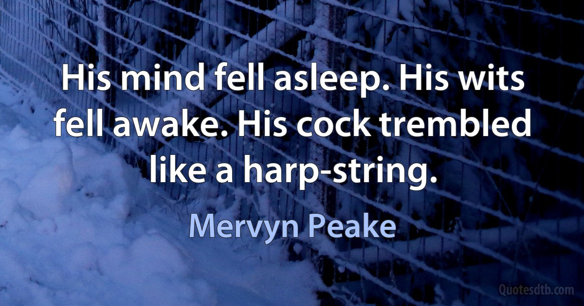 His mind fell asleep. His wits fell awake. His cock trembled like a harp-string. (Mervyn Peake)