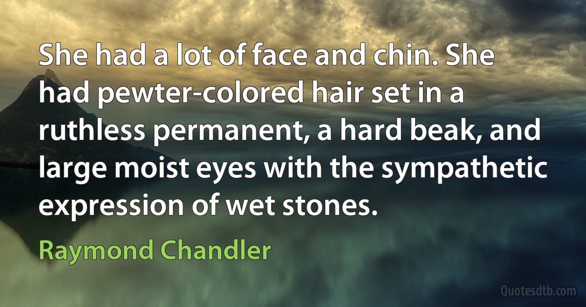 She had a lot of face and chin. She had pewter-colored hair set in a ruthless permanent, a hard beak, and large moist eyes with the sympathetic expression of wet stones. (Raymond Chandler)