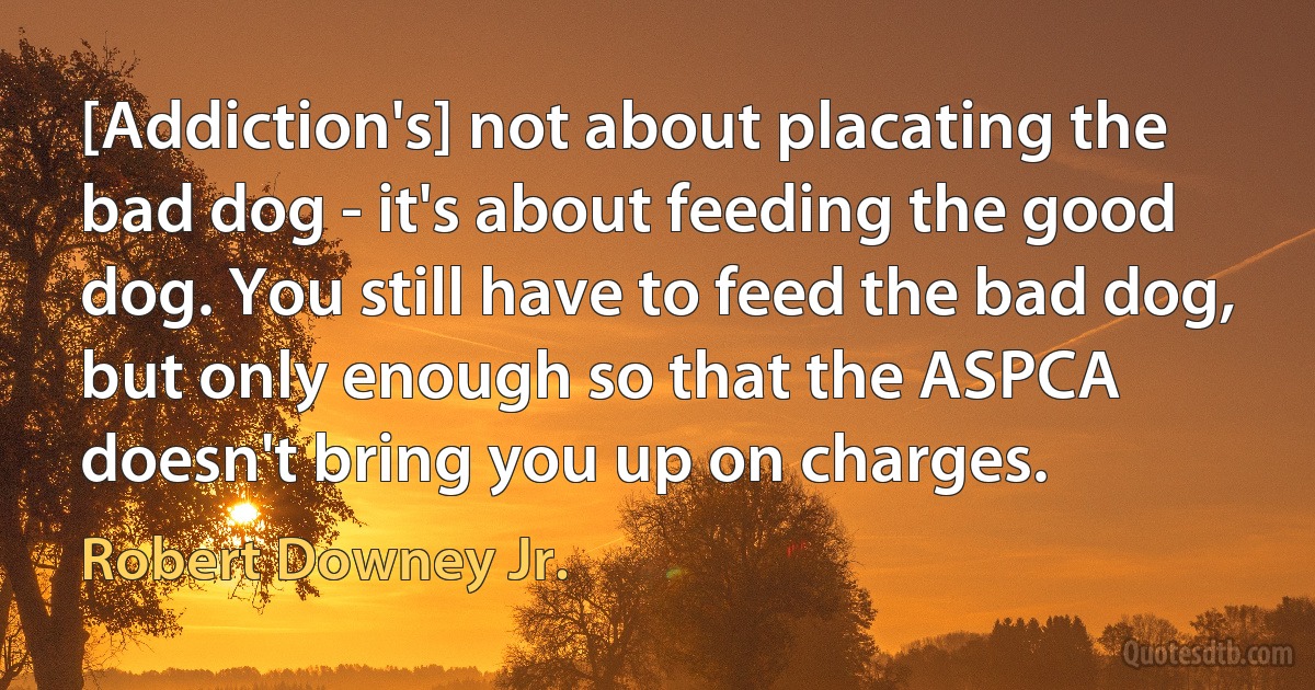 [Addiction's] not about placating the bad dog - it's about feeding the good dog. You still have to feed the bad dog, but only enough so that the ASPCA doesn't bring you up on charges. (Robert Downey Jr.)