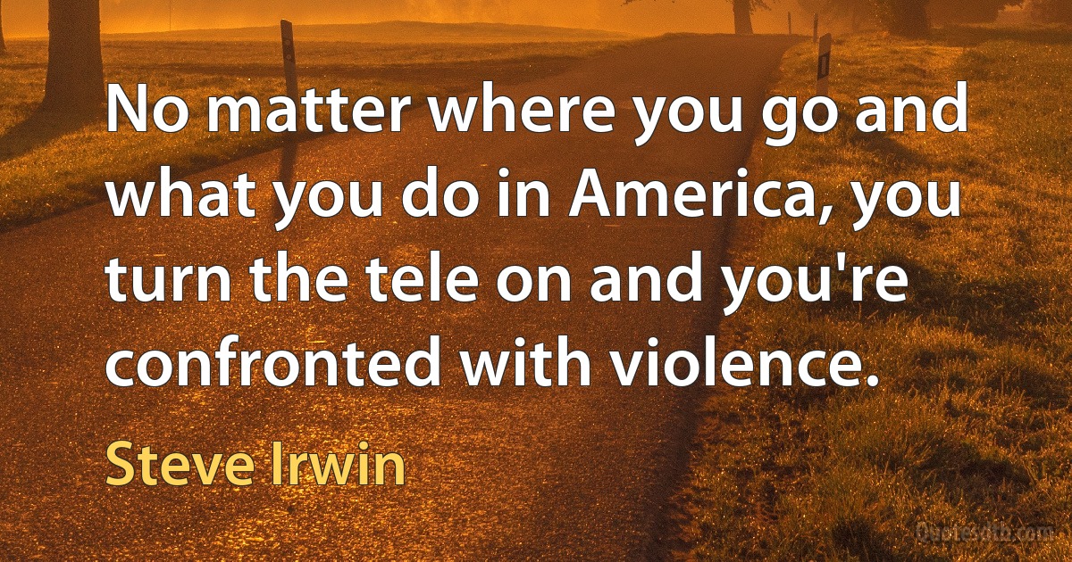 No matter where you go and what you do in America, you turn the tele on and you're confronted with violence. (Steve Irwin)