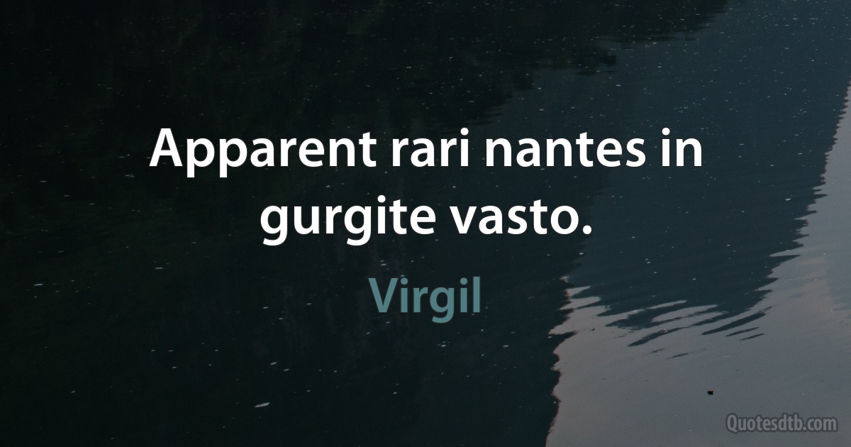 Apparent rari nantes in gurgite vasto. (Virgil)