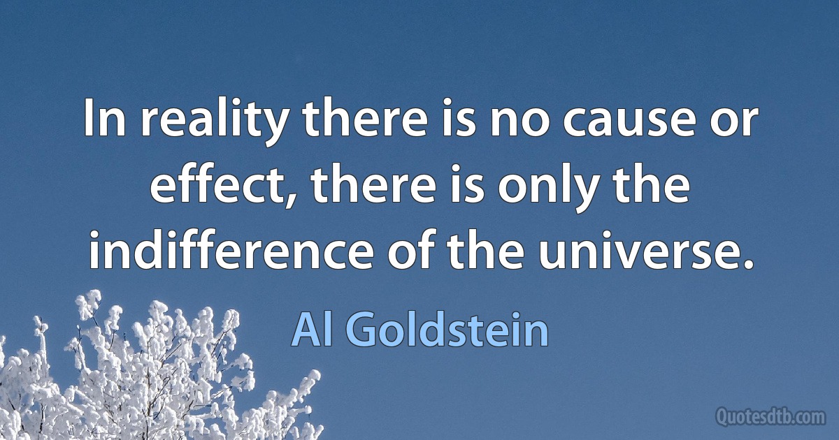 In reality there is no cause or effect, there is only the indifference of the universe. (Al Goldstein)