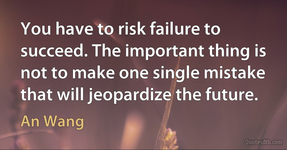 You have to risk failure to succeed. The important thing is not to make one single mistake that will jeopardize the future. (An Wang)