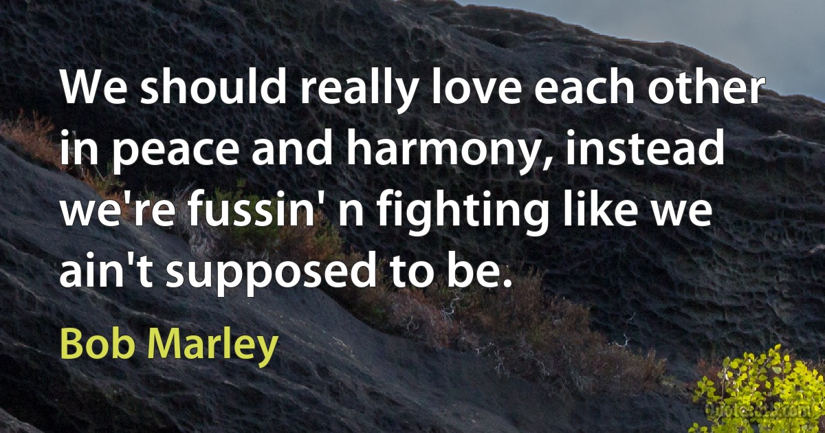 We should really love each other in peace and harmony, instead we're fussin' n fighting like we ain't supposed to be. (Bob Marley)