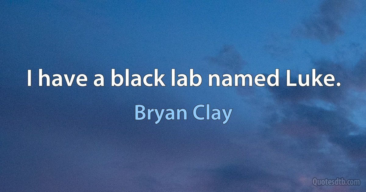 I have a black lab named Luke. (Bryan Clay)