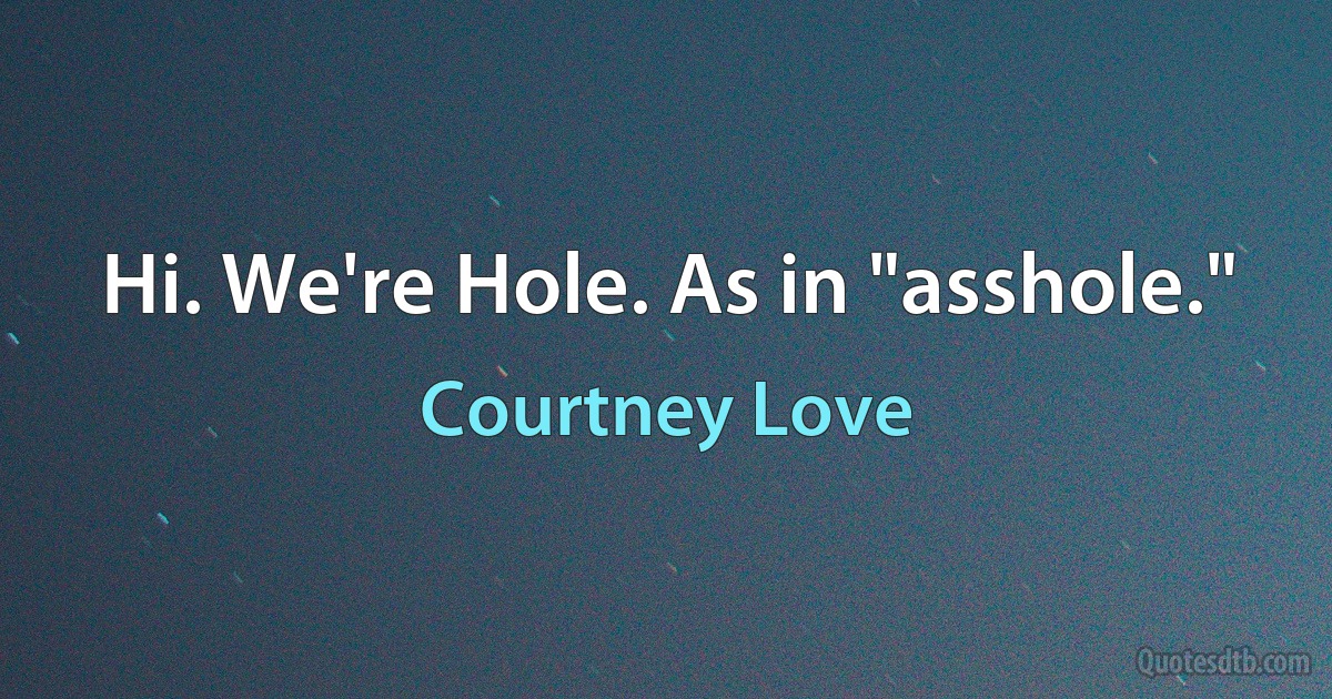 Hi. We're Hole. As in "asshole." (Courtney Love)