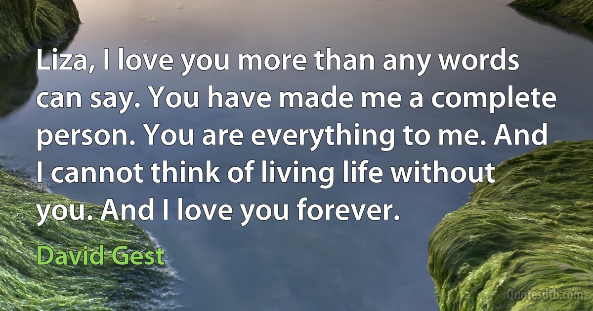 Liza, I love you more than any words can say. You have made me a complete person. You are everything to me. And I cannot think of living life without you. And I love you forever. (David Gest)