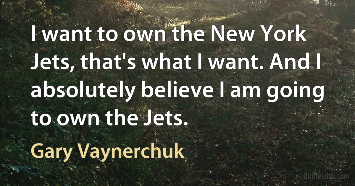 I want to own the New York Jets, that's what I want. And I absolutely believe I am going to own the Jets. (Gary Vaynerchuk)