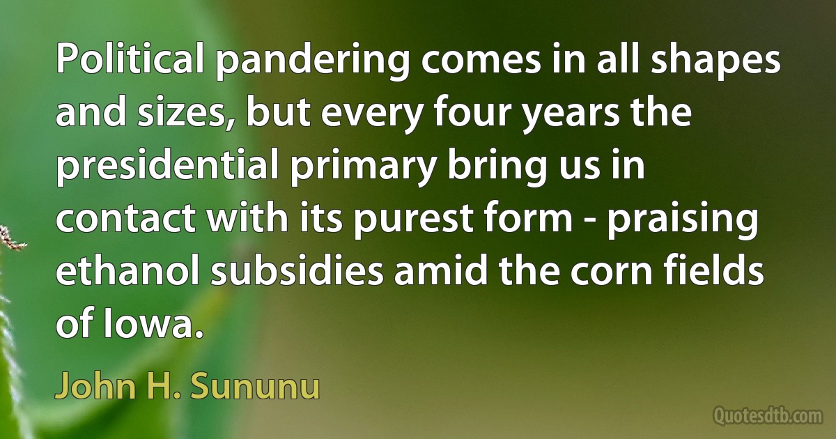 Political pandering comes in all shapes and sizes, but every four years the presidential primary bring us in contact with its purest form - praising ethanol subsidies amid the corn fields of Iowa. (John H. Sununu)