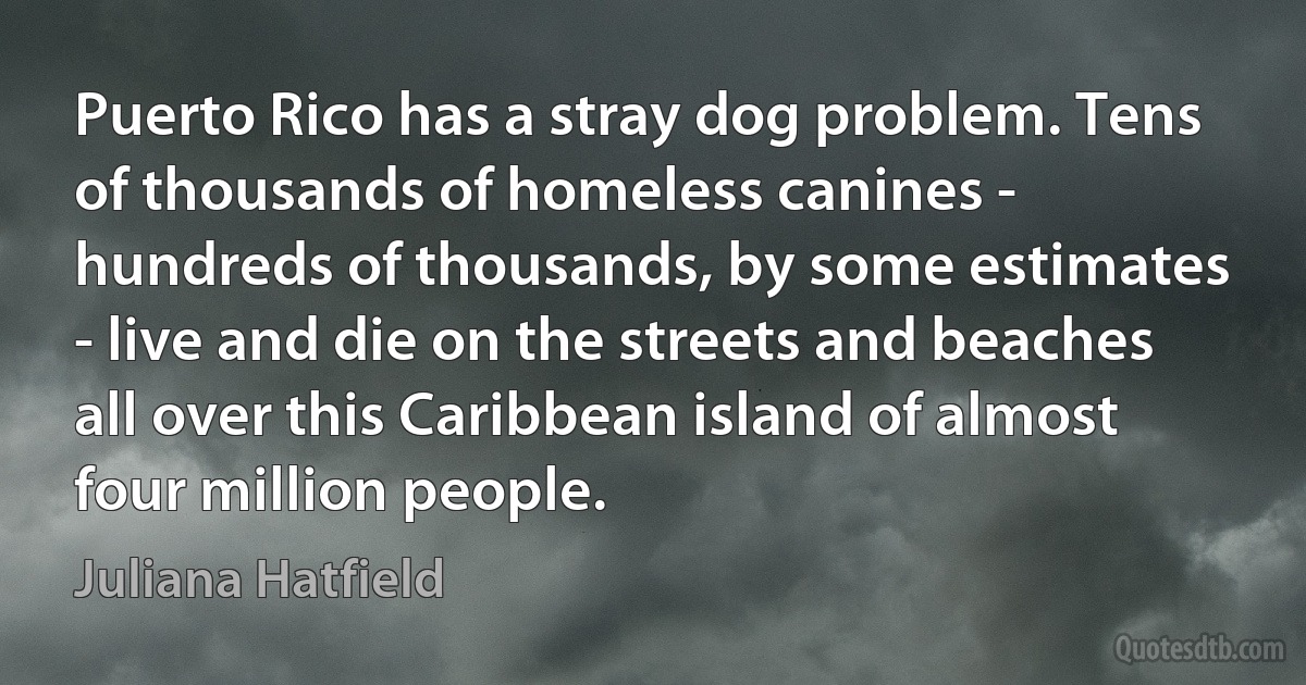 Puerto Rico has a stray dog problem. Tens of thousands of homeless canines - hundreds of thousands, by some estimates - live and die on the streets and beaches all over this Caribbean island of almost four million people. (Juliana Hatfield)