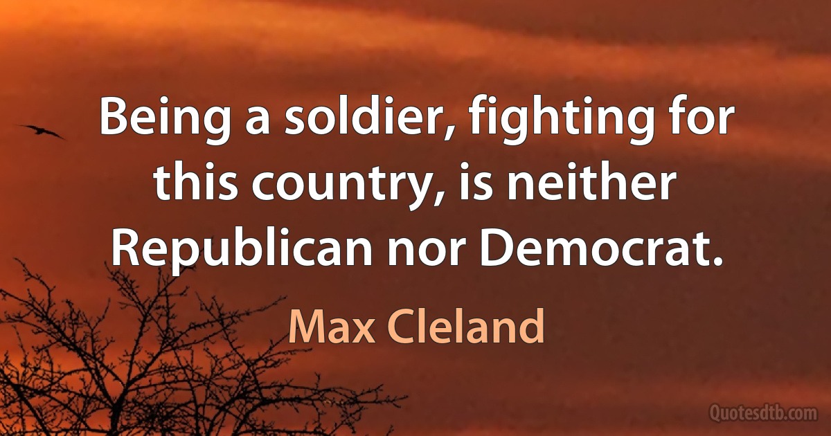 Being a soldier, fighting for this country, is neither Republican nor Democrat. (Max Cleland)