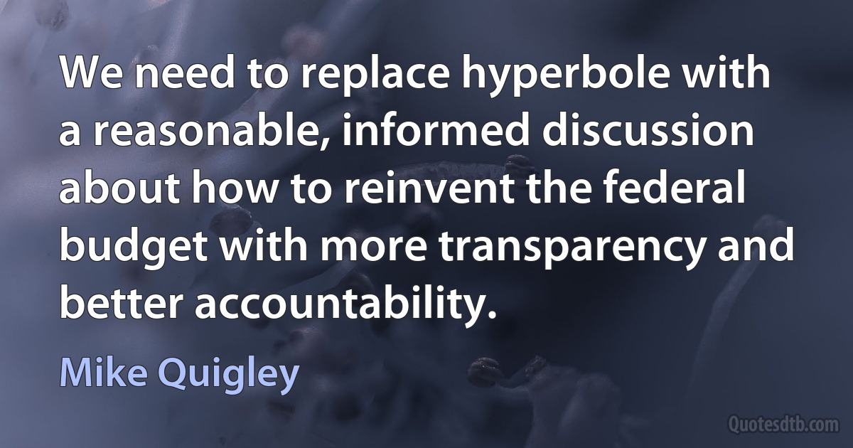 We need to replace hyperbole with a reasonable, informed discussion about how to reinvent the federal budget with more transparency and better accountability. (Mike Quigley)