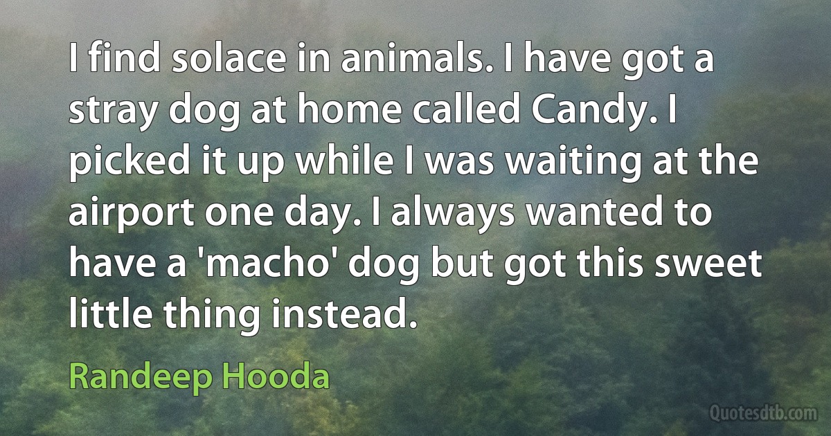 I find solace in animals. I have got a stray dog at home called Candy. I picked it up while I was waiting at the airport one day. I always wanted to have a 'macho' dog but got this sweet little thing instead. (Randeep Hooda)