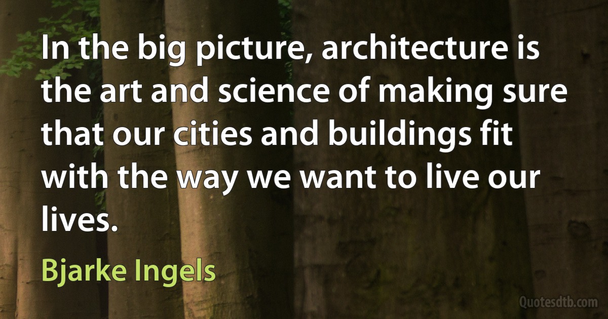 In the big picture, architecture is the art and science of making sure that our cities and buildings fit with the way we want to live our lives. (Bjarke Ingels)