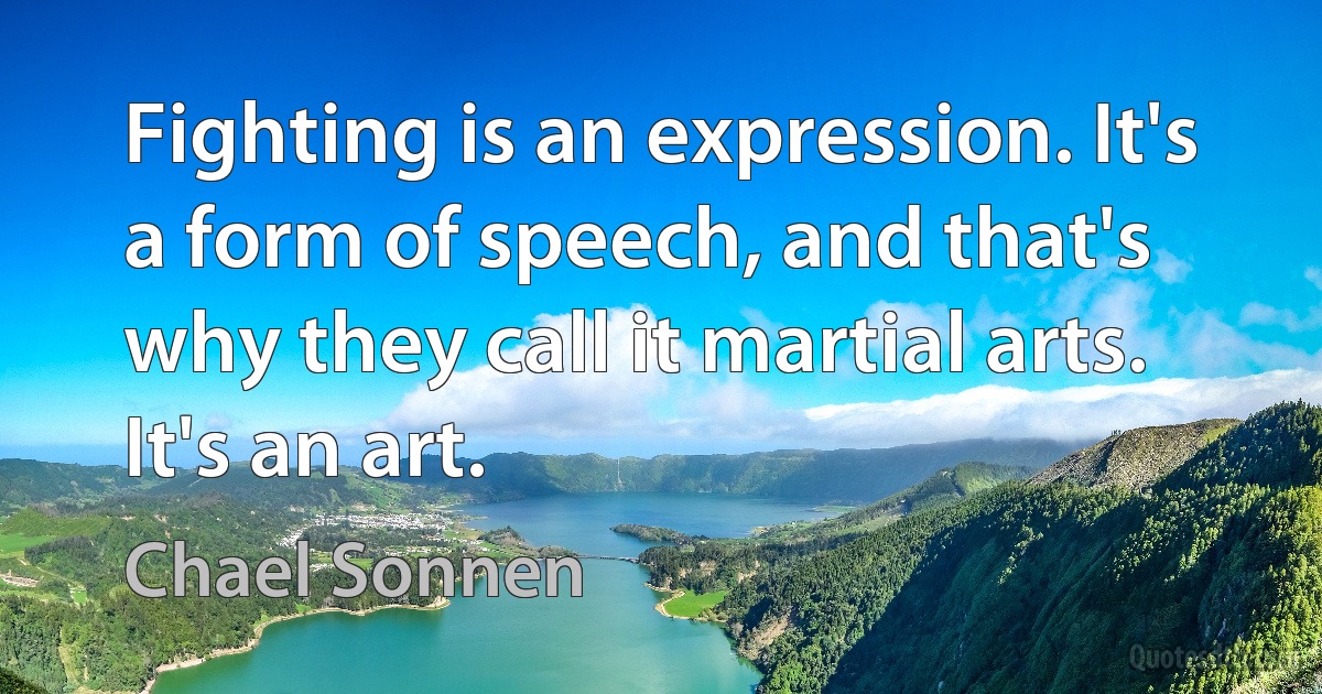 Fighting is an expression. It's a form of speech, and that's why they call it martial arts. It's an art. (Chael Sonnen)