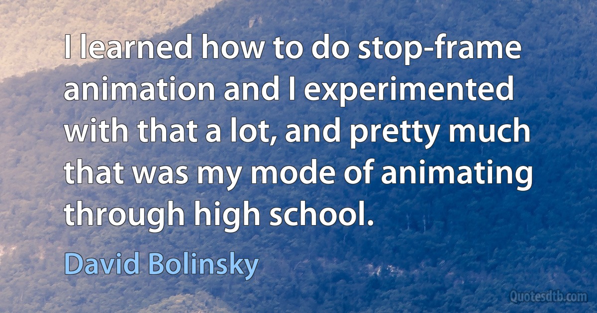 I learned how to do stop-frame animation and I experimented with that a lot, and pretty much that was my mode of animating through high school. (David Bolinsky)