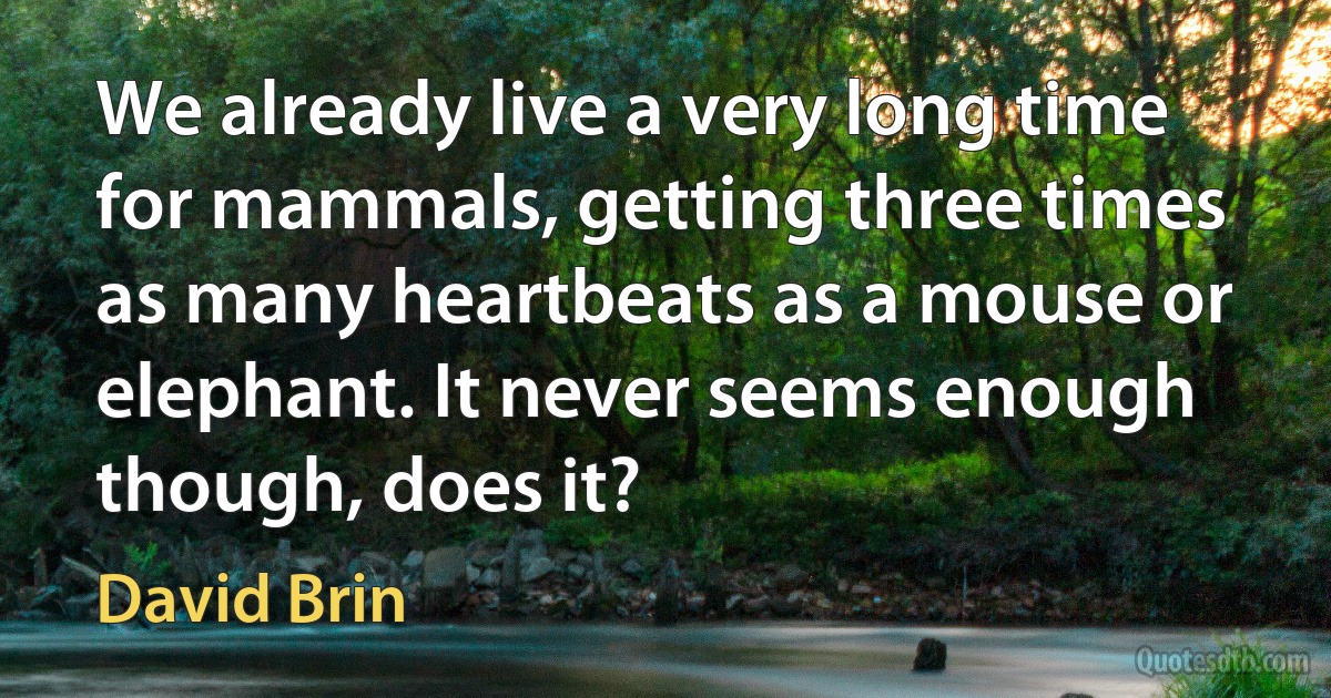 We already live a very long time for mammals, getting three times as many heartbeats as a mouse or elephant. It never seems enough though, does it? (David Brin)