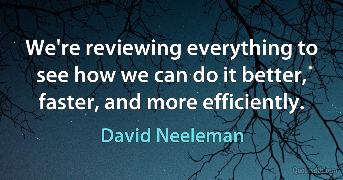 We're reviewing everything to see how we can do it better, faster, and more efficiently. (David Neeleman)