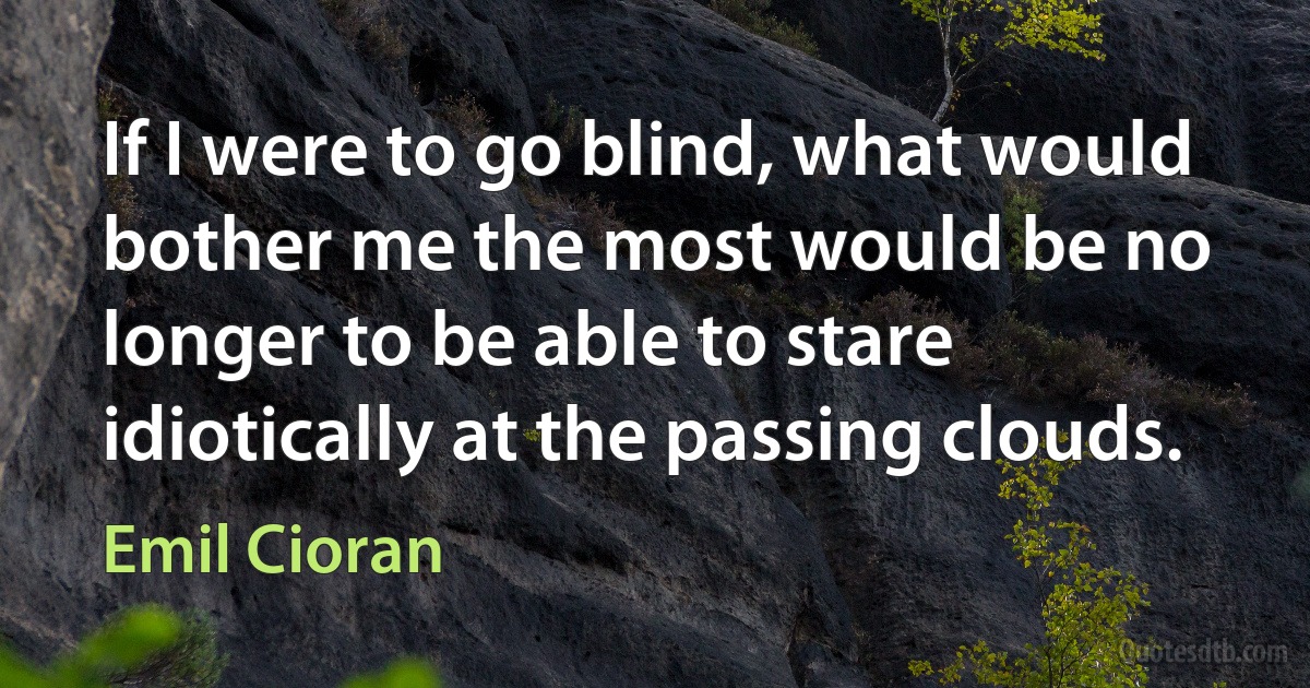 If I were to go blind, what would bother me the most would be no longer to be able to stare idiotically at the passing clouds. (Emil Cioran)