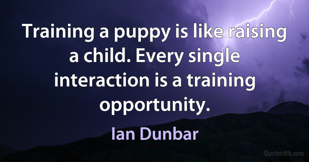 Training a puppy is like raising a child. Every single interaction is a training opportunity. (Ian Dunbar)