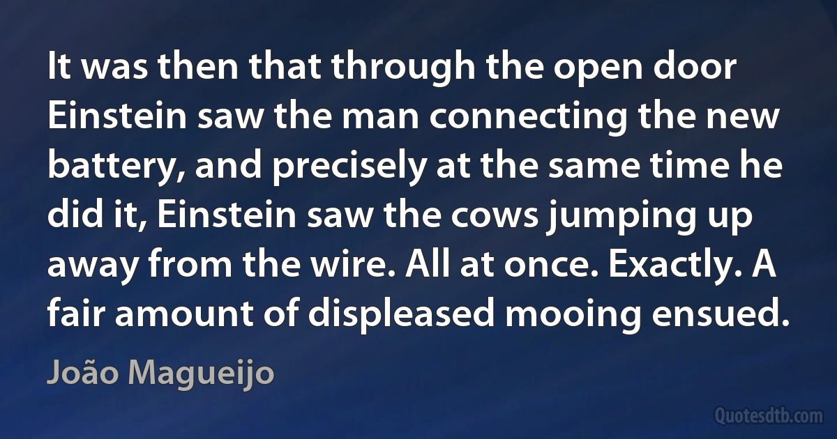 It was then that through the open door Einstein saw the man connecting the new battery, and precisely at the same time he did it, Einstein saw the cows jumping up away from the wire. All at once. Exactly. A fair amount of displeased mooing ensued. (João Magueijo)