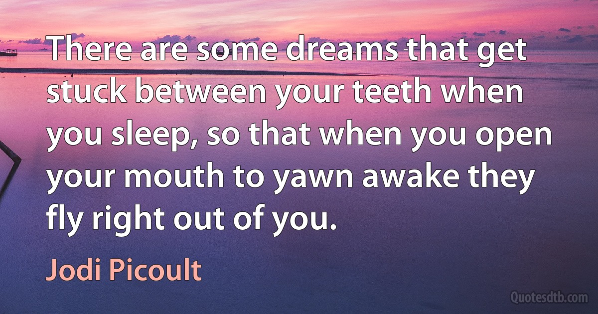 There are some dreams that get stuck between your teeth when you sleep, so that when you open your mouth to yawn awake they fly right out of you. (Jodi Picoult)