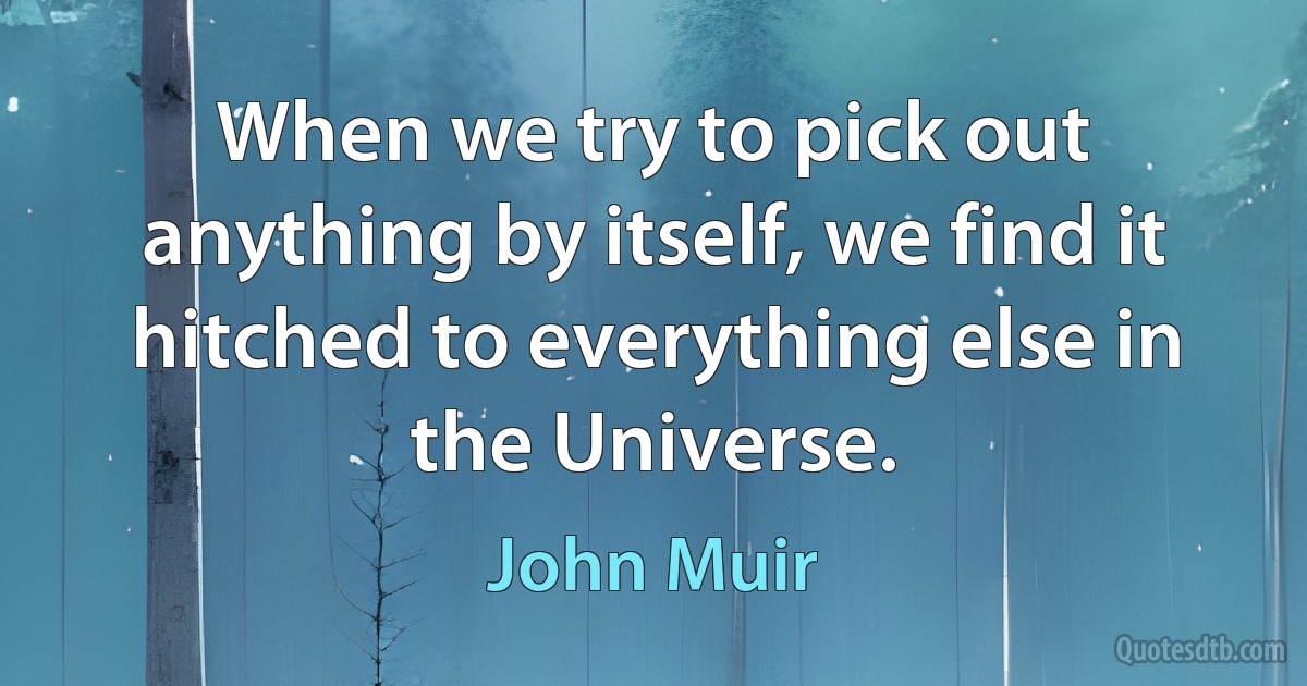 When we try to pick out anything by itself, we find it hitched to everything else in the Universe. (John Muir)