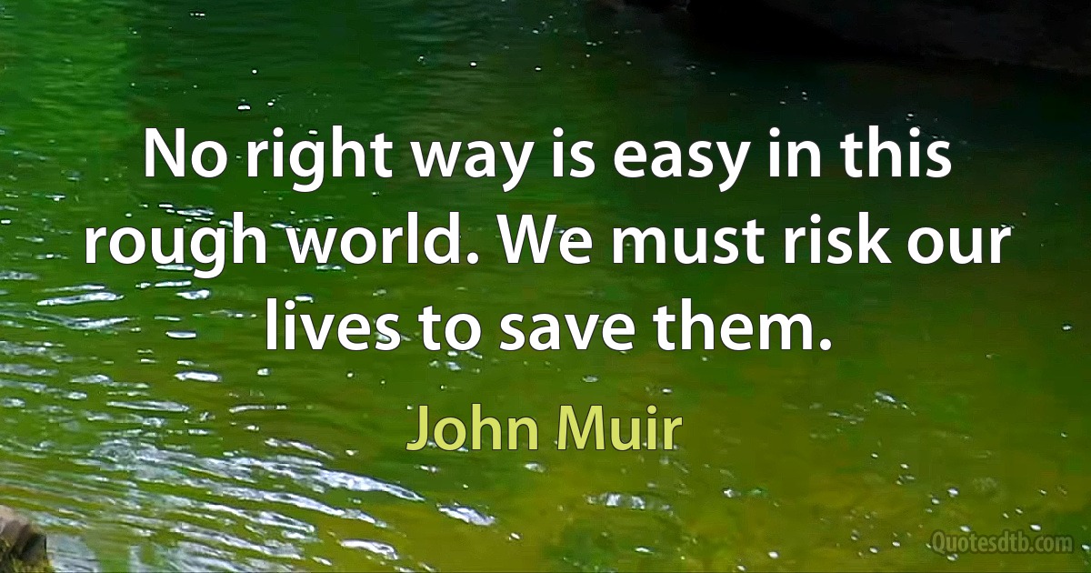 No right way is easy in this rough world. We must risk our lives to save them. (John Muir)