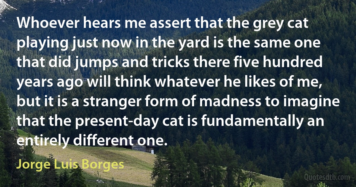 Whoever hears me assert that the grey cat playing just now in the yard is the same one that did jumps and tricks there five hundred years ago will think whatever he likes of me, but it is a stranger form of madness to imagine that the present-day cat is fundamentally an entirely different one. (Jorge Luis Borges)