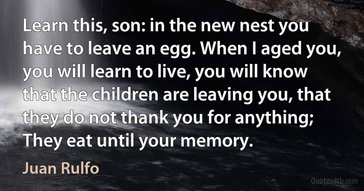 Learn this, son: in the new nest you have to leave an egg. When I aged you, you will learn to live, you will know that the children are leaving you, that they do not thank you for anything; They eat until your memory. (Juan Rulfo)