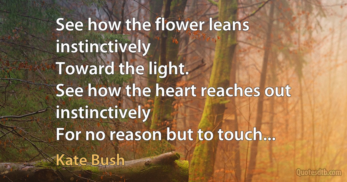 See how the flower leans instinctively
Toward the light.
See how the heart reaches out instinctively
For no reason but to touch... (Kate Bush)