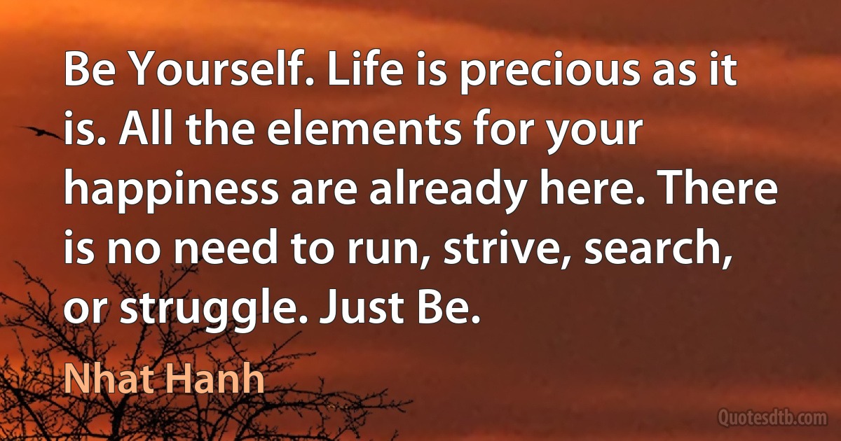 Be Yourself. Life is precious as it is. All the elements for your happiness are already here. There is no need to run, strive, search, or struggle. Just Be. (Nhat Hanh)