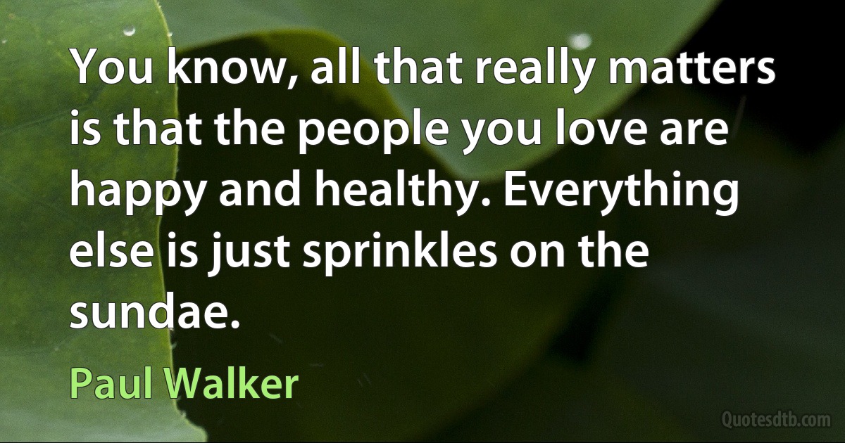 You know, all that really matters is that the people you love are happy and healthy. Everything else is just sprinkles on the sundae. (Paul Walker)