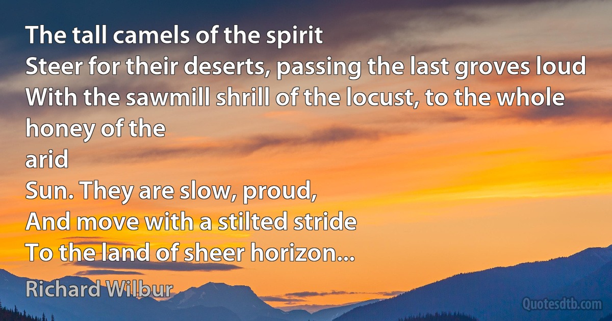 The tall camels of the spirit
Steer for their deserts, passing the last groves loud
With the sawmill shrill of the locust, to the whole honey of the
arid
Sun. They are slow, proud,
And move with a stilted stride
To the land of sheer horizon... (Richard Wilbur)