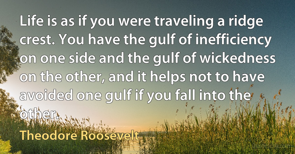 Life is as if you were traveling a ridge crest. You have the gulf of inefficiency on one side and the gulf of wickedness on the other, and it helps not to have avoided one gulf if you fall into the other. (Theodore Roosevelt)