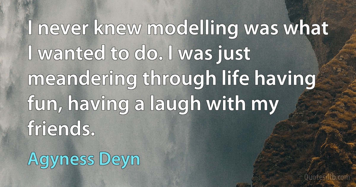 I never knew modelling was what I wanted to do. I was just meandering through life having fun, having a laugh with my friends. (Agyness Deyn)