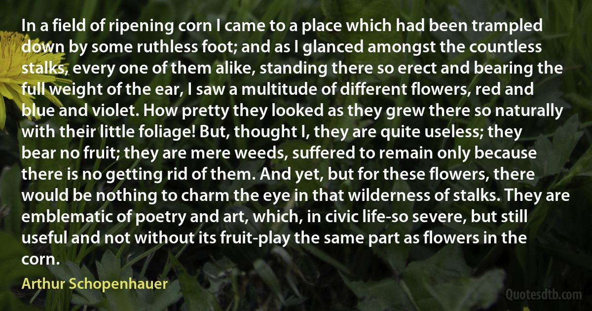 In a field of ripening corn I came to a place which had been trampled down by some ruthless foot; and as I glanced amongst the countless stalks, every one of them alike, standing there so erect and bearing the full weight of the ear, I saw a multitude of different flowers, red and blue and violet. How pretty they looked as they grew there so naturally with their little foliage! But, thought I, they are quite useless; they bear no fruit; they are mere weeds, suffered to remain only because there is no getting rid of them. And yet, but for these flowers, there would be nothing to charm the eye in that wilderness of stalks. They are emblematic of poetry and art, which, in civic life-so severe, but still useful and not without its fruit-play the same part as flowers in the corn. (Arthur Schopenhauer)