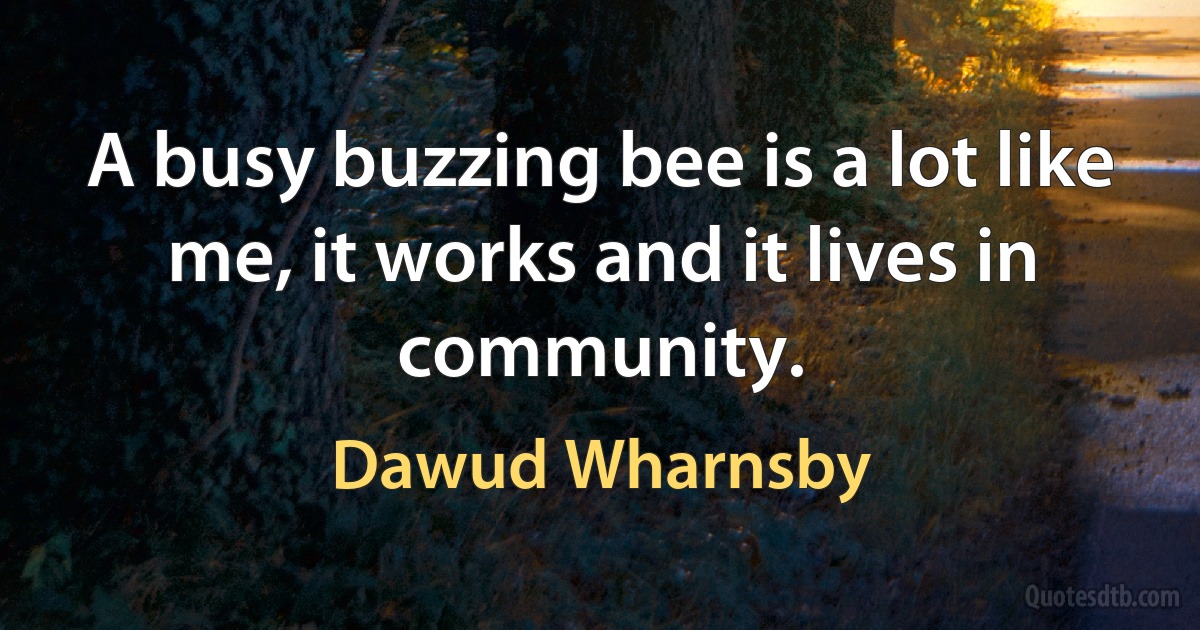 A busy buzzing bee is a lot like me, it works and it lives in community. (Dawud Wharnsby)