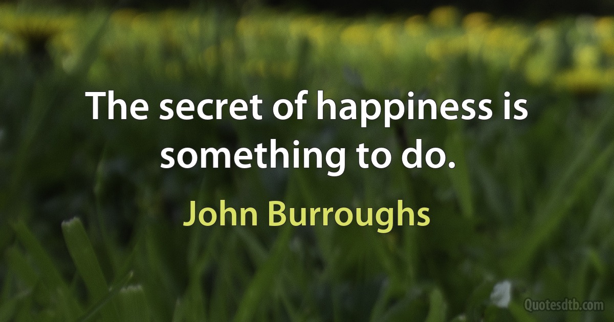 The secret of happiness is something to do. (John Burroughs)